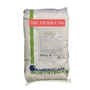 Vi sinh Mỹ ACCELOBAC AG xử lý đáy ao, chất thải hữu cơ dạng bột tan